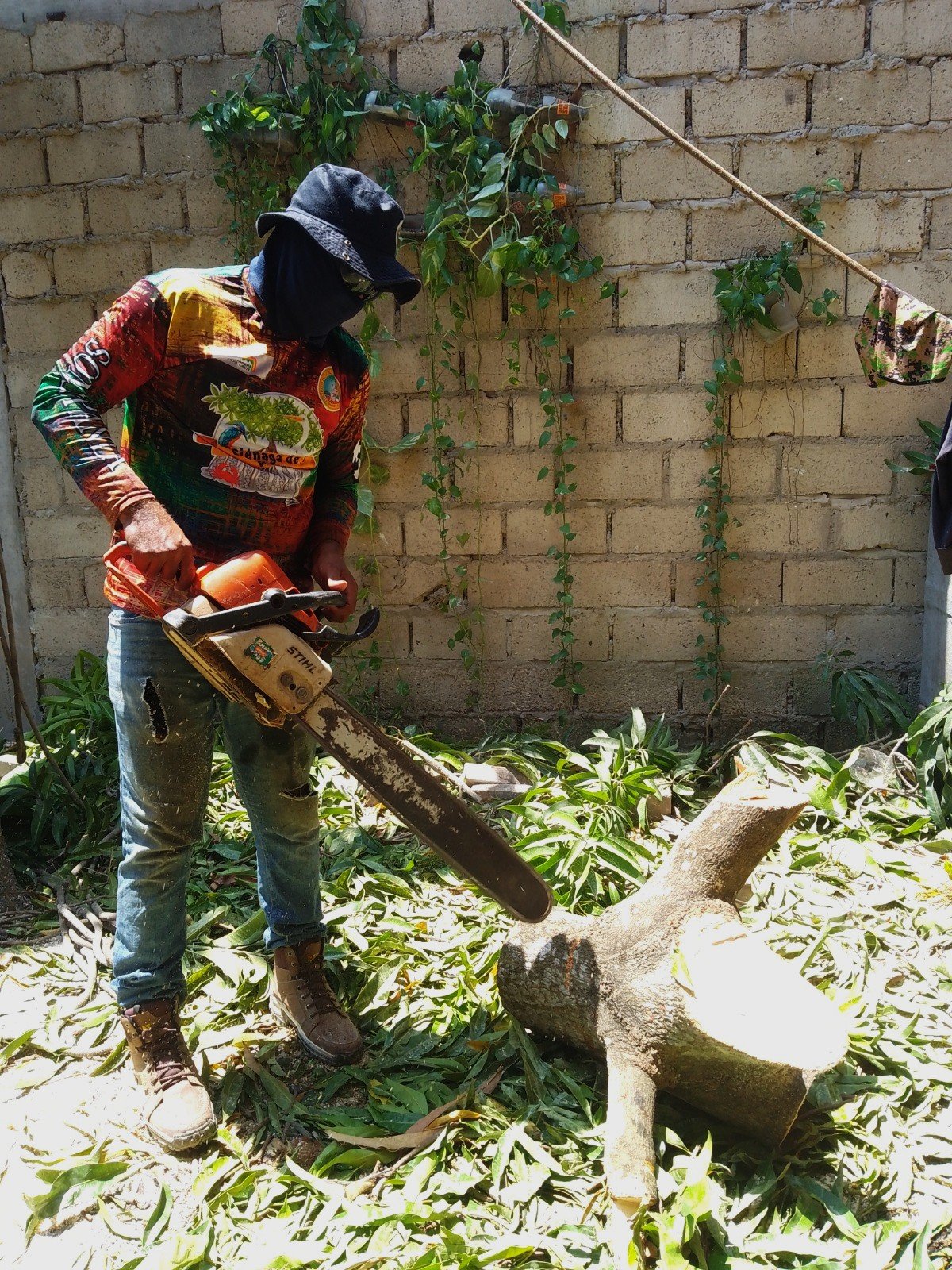 Jardinería y zonas verdes